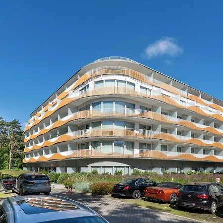 Lividus, Sun & Snow シフィノウイシチェ